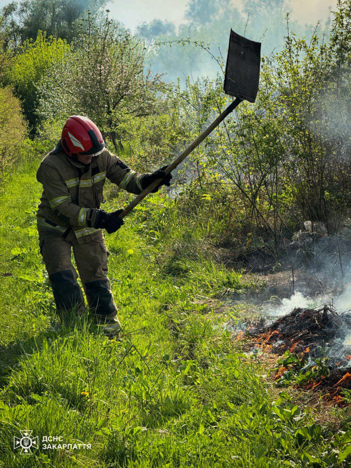 6 разів за добу закарпатські рятувальники виїжджали на гасіння пожеж в екосистемах