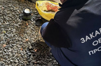 12 підозрюваних, 43 обшуки - на Закарпатті правоохоронці викрили масштабну злочинну групу,  які  займались наркозбутом і переправленням військовозобов’язаних
