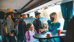 Подорожі автобусом по Україні та Європі - практичний посібник для пасажирів