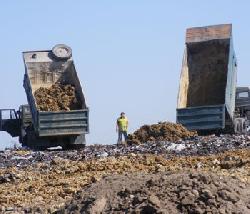 Держава виставила на продаж 5 закарпатських підприємств