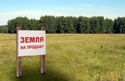 Цього року закарпатцям видали півтори тисячі ділянок в оренду
