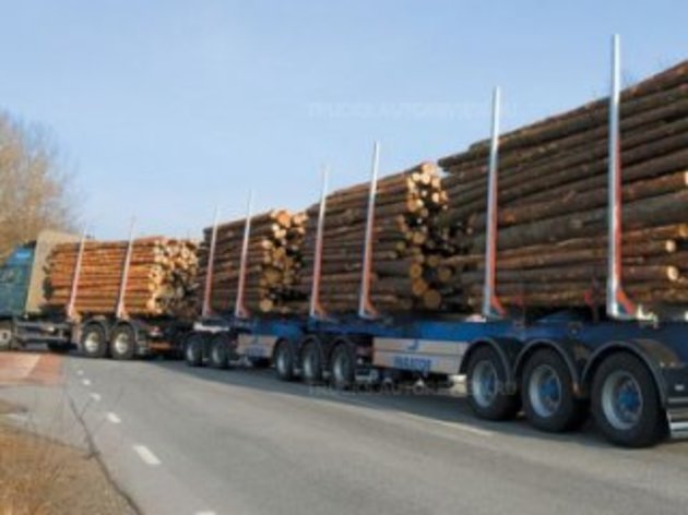 На Перечинщині громада затримала лісовози