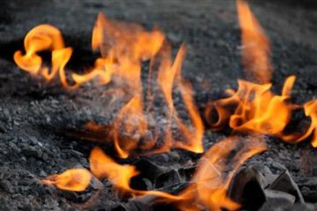 Маля із Закарпаття згоріло заживо