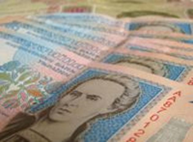 Чверть надходжень до бюджету Закарпаття забезпечує малий бізнес