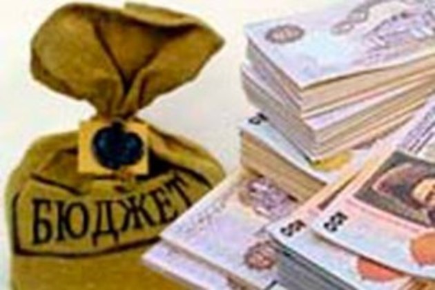 Єдинщики Закарпаття поповнили місцеві бюджети десятками мільйонів гривень