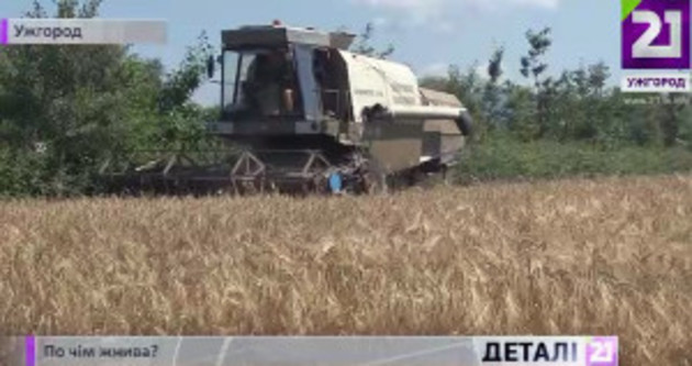 Скільки вартує врожай зернових на Срібній Землі? (ВІДЕО)