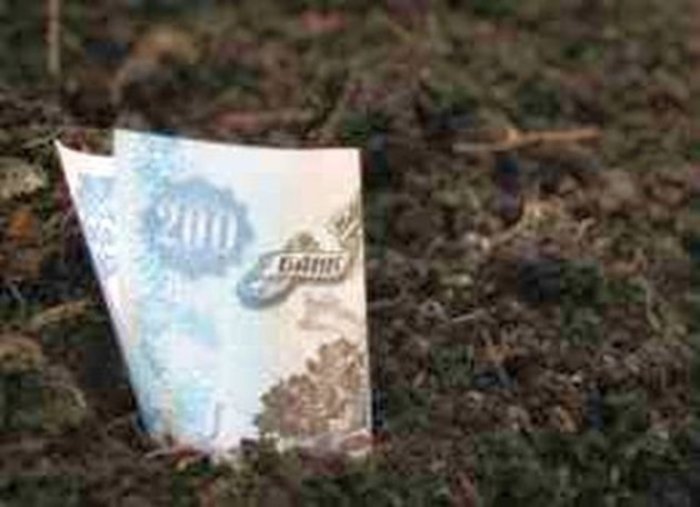 Місцеві бюджети Закарпаття отримали більше 125,7 млн грн плати за землю