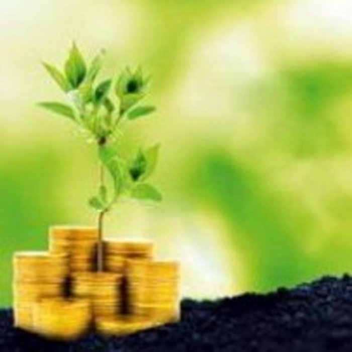 Земельні новини з українського регіону на кордоні з Євросоюзом