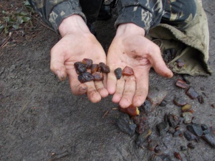 Двоє закарпатців невдало поїхали на Волинь копати бурштин