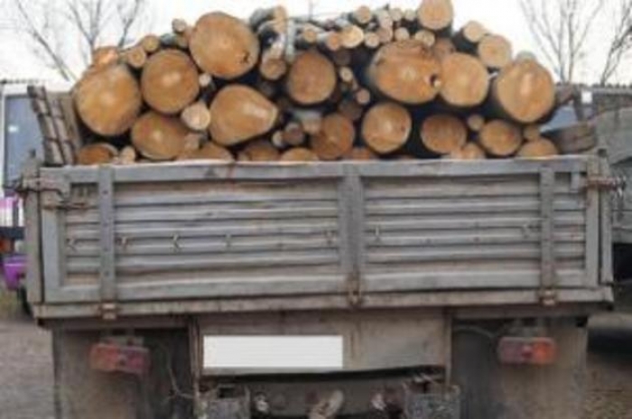 За зрубані в заповіднику буки житель Перечинщини дорого заплатить