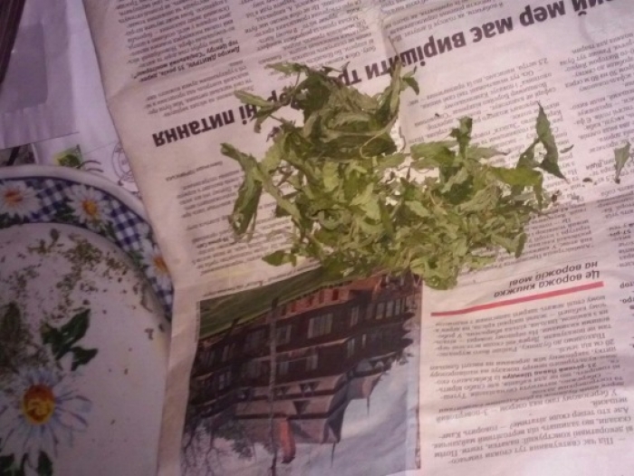 Під час обшуку Мукачівські поліцейські виявили марихуану