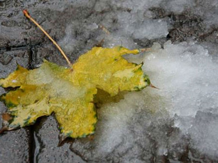 Біля нуля, можливі опади... Закарпатці, вдягаймося!