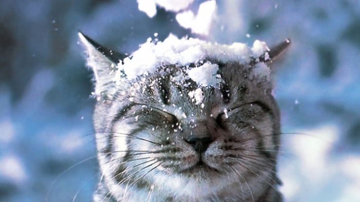 На Закарпатті тримається мороз і сніг