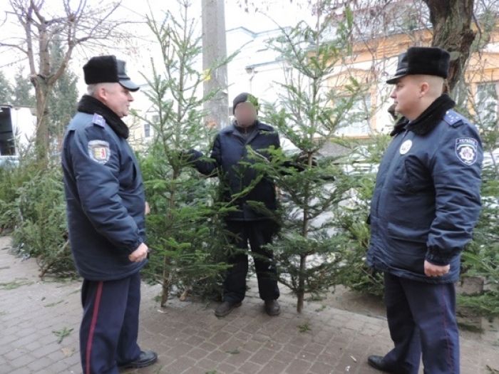 Півтори тисячі феєрверків та кількадесят ялинок - "улов" берегівських поліцейських