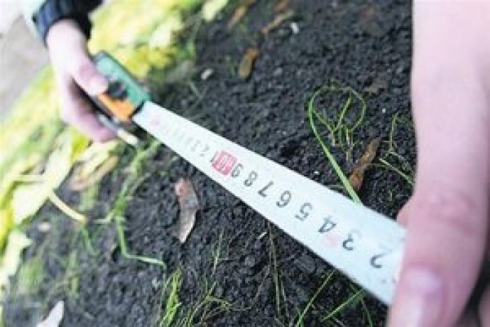 Голова села на Виноградівщині не сказав на сесії чарівні слова, які відпустили б йому «земельний» гріх