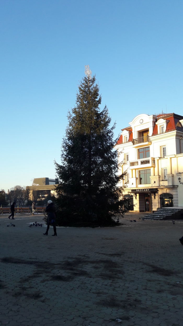 Кілометр гірлянди, 11 400 лампочок – так освітили ужгородську ялинку 
