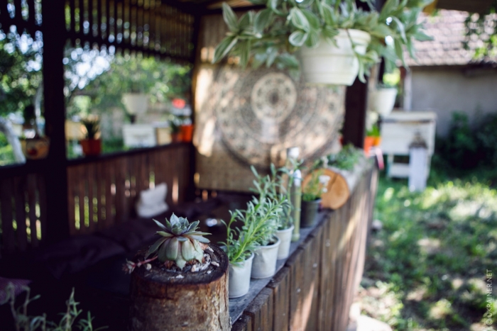 Як в Закарпатському Пацканьово росте екопоселення, розповів Ukraїner