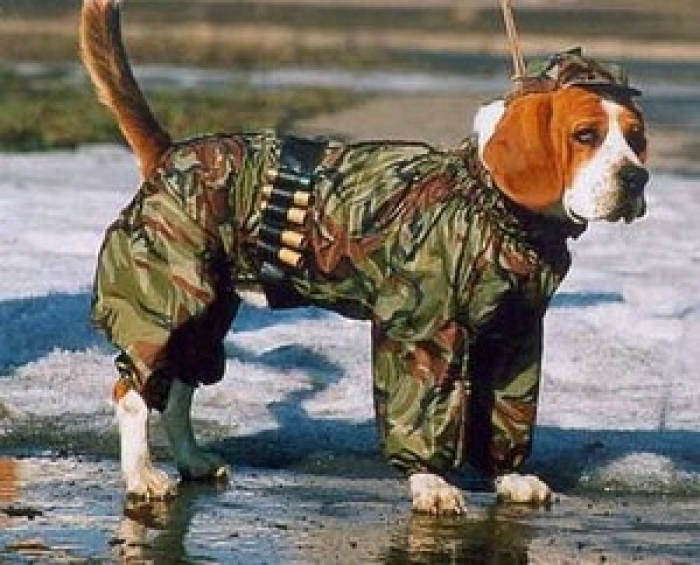 Закарпатська прокуратура через три роки хоче забрати мисливські угіддя. Підпису не виявили