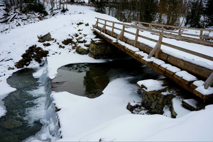 Перепади для форелі: лісівники та єгері Рахівщини нарощують кількість царської риби в річках