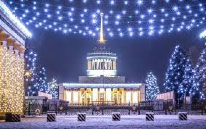 Які бувають ялинки: живі, зрубані, штучні, цифрові