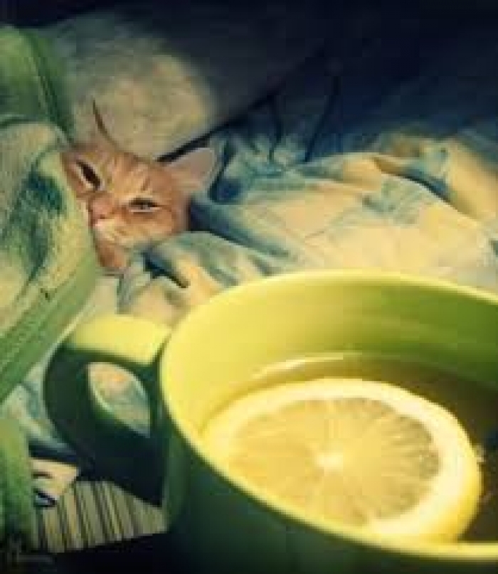 Якщо дитина захворіла: чого НЕ СЛІД робити закарпатським мамам