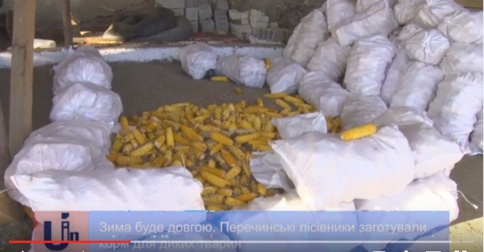 Перечинські лісівники подбали про диких тварин у сніжну пору року