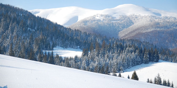 У Пилипці забудовник 2 роки ухиляється від соціальної інфраструктури. А прокуратура виявилася проти 