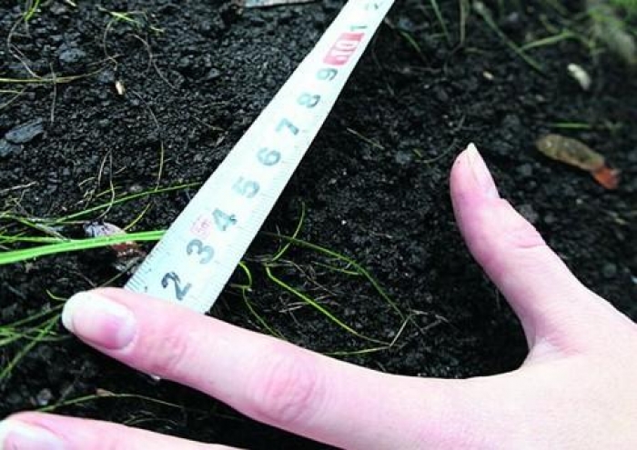 Літню мешканку Ужгорода від земельних зазіхань сусіда врятувала прокуратура