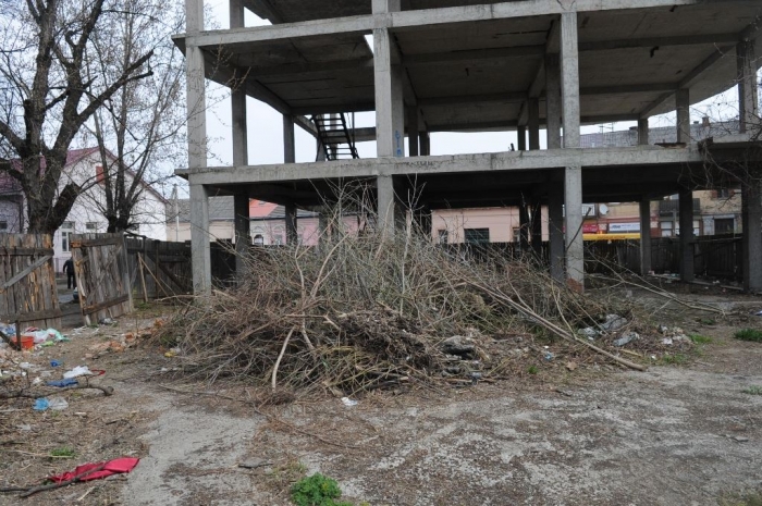 Ужгородські муніципали перевіряли, чи вантажівки "витирають ноги" 
