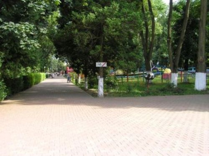 За тиждень стане відомо, хто керуватиме Боздоським парком Ужгорода