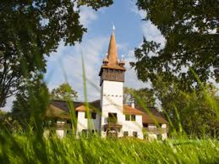 Мешканці Косино на Берегівщині і підприємець через Москаля ділять території та дорогу 