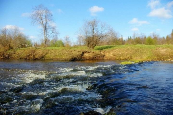 Правоохоронці кажуть, що маніяка на Тячівщині нема. Тоді це якась містика