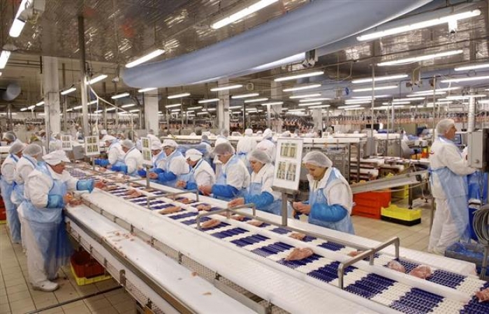 Поруч із Закарпаттям оброблятимуть кожну третю курку Угорщини