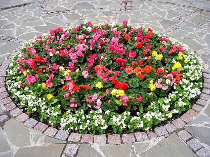 Міський голова Ужгорода звернувся до жителів міста з проханням