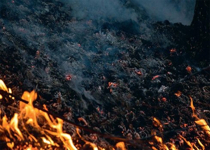 До уваги небайдужих закарпатців!