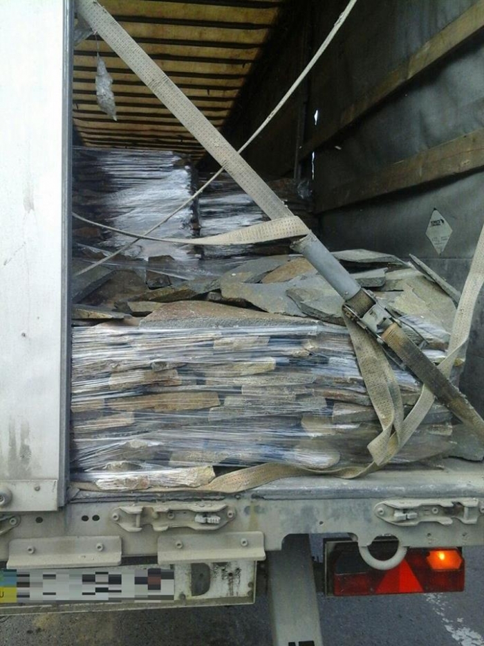 У Нижніх Воротах мукачівські патрульні виявили нетрадиційного браконьєра