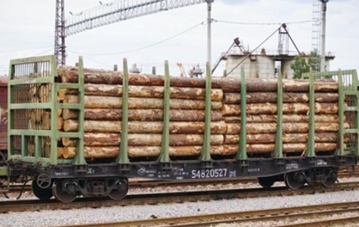 Фігуранти скандалу із вагонами контрабандного лісу озвучили свою офіційну позицію