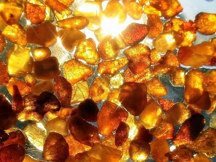 Ужгородські прикордонники затримали львів'янина з бурштином