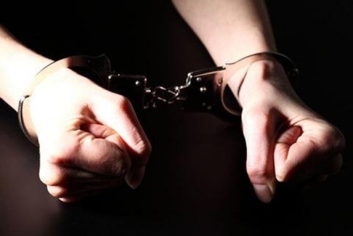 Закарпатські правоохоронці затримали чотирьох крадіїв