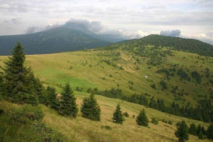 Норвегія фінансує екологічний проект в Ужанському національному природному парку