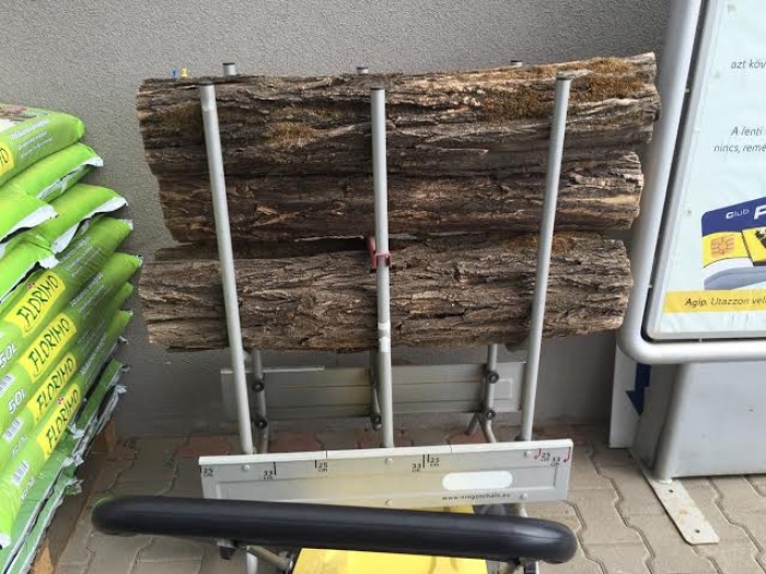 Москаль запевнив, що практично вся деревина у вагонах, затриманих в Чопі, таки дрова