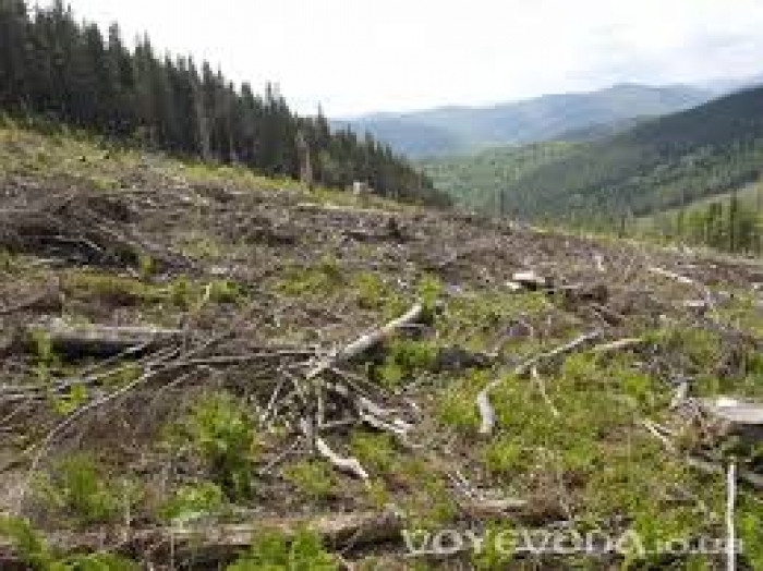 Ужгородський міськрайонний суд обрав запобіжний захід керівнику одного з підрозділів Чопського прикордонного загону