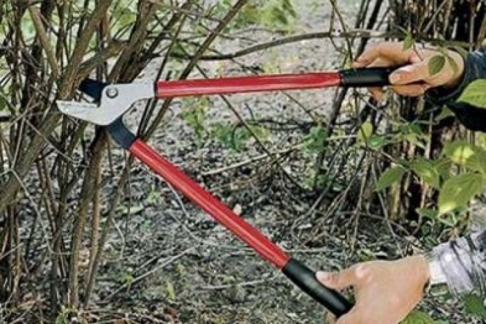 Водіям Ужгорода покращують видимість світлофорів