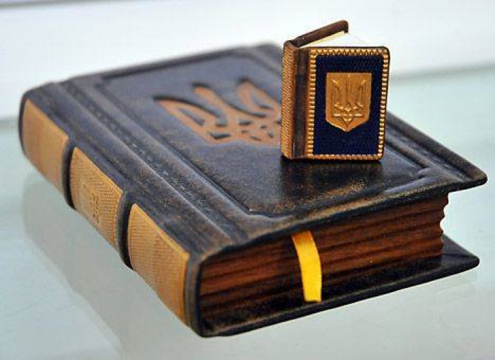 Богдан Андріїв привітав ужгородців з Днем Конституції України