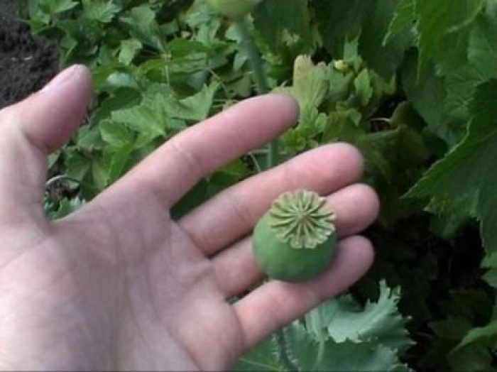 Митники стверджують, що їх оббрехали: вимагають спростування