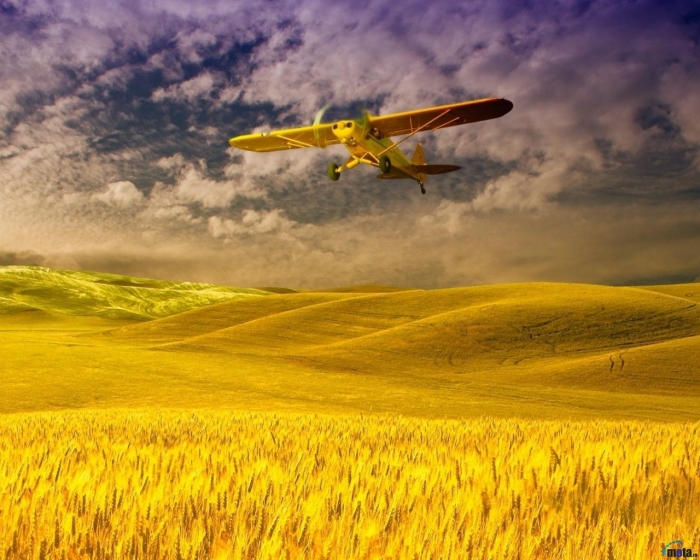 На Закарпатті землю оброблятимуть за допомогою авіації