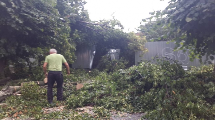 Що після буревію до настання темноти встигли зробили ремонтники в Ужгороді 

