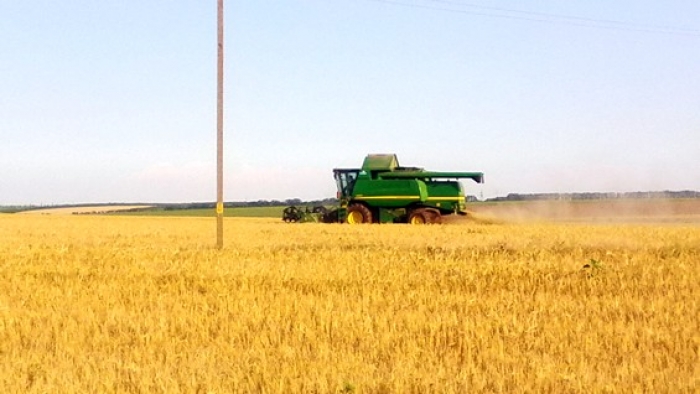 Як закарпатцям вберегти свій врожай від пожежі