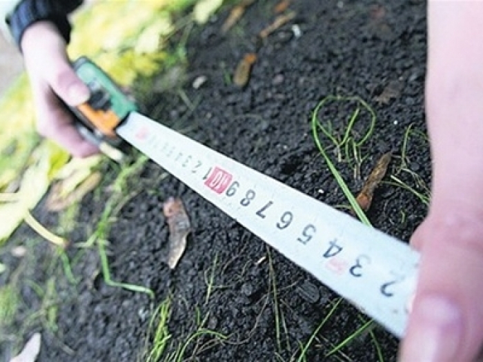 Прокуратура на Закарпатті повернула незаконно надану землю площею 178 гектарів