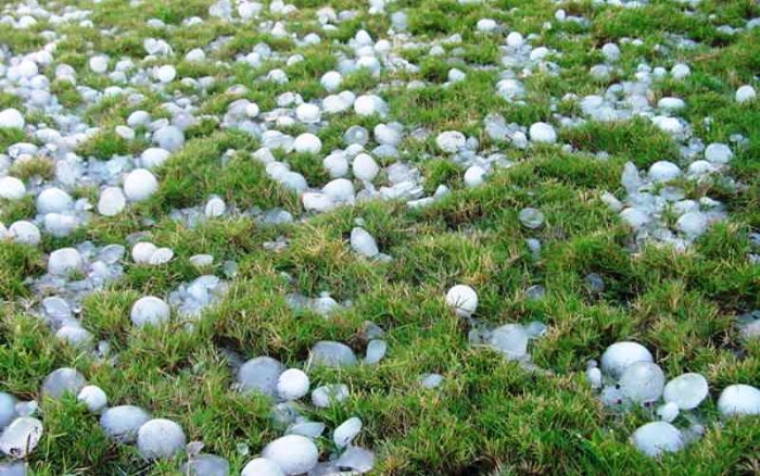 На Виноградівщині тривають ремонтні роботи на об’єктах, що постраждали від граду